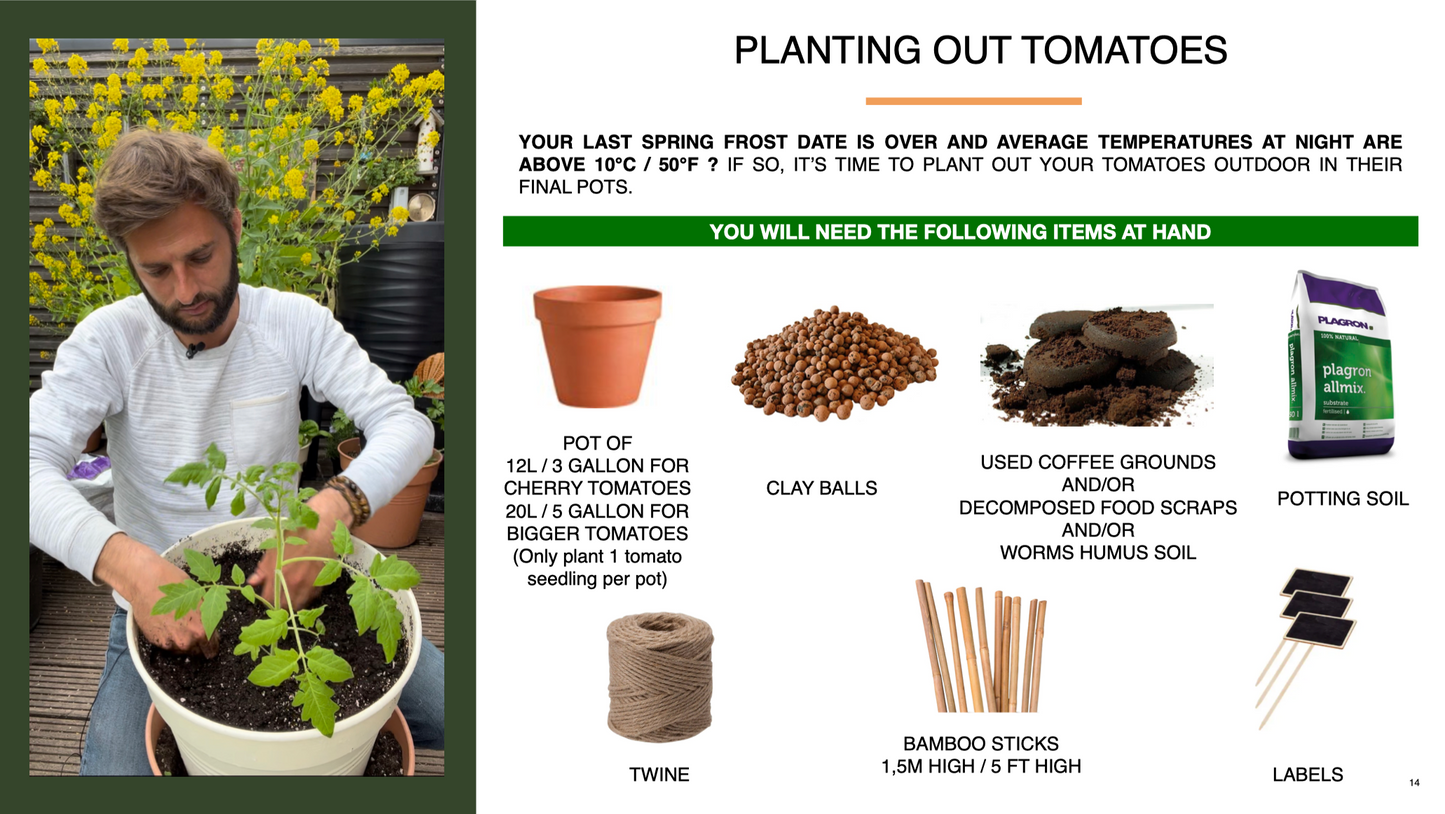 E-Book - The Tomato Urban Growing Guide for pots & containers