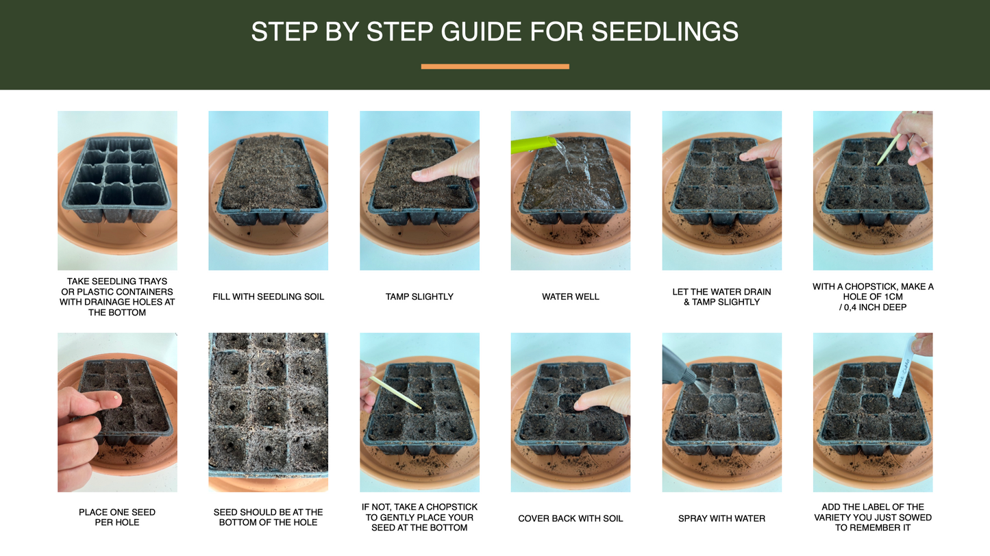 E-Book - The Tomato Urban Growing Guide for pots & containers