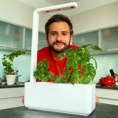 Healthy indoor greens with Click & Grow - The Frenchie Gardener