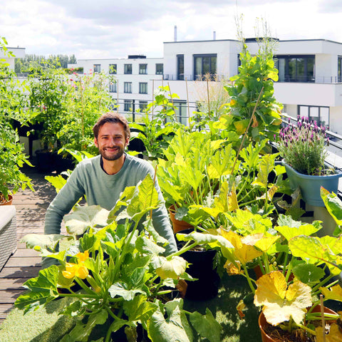 Welcoming back Nature in our cities! - The Frenchie Gardener