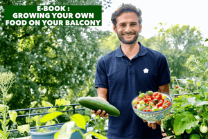 E-Book Urban Gardening "Growing your own Food on your balcony" - The Frenchie Gardener