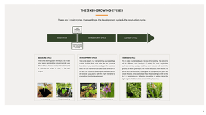 E-Book Urban Gardening "Growing your own Food on your balcony" - The Frenchie Gardener