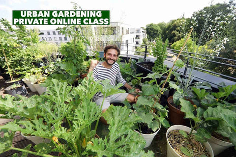 Urban Gardening : Private Online Class - The Frenchie Gardener